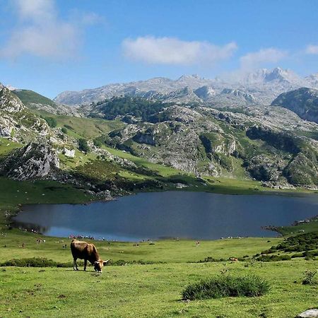 Apartament Casa Noval Zona Rural En El Centro De Asturias Bimenes Zewnętrze zdjęcie