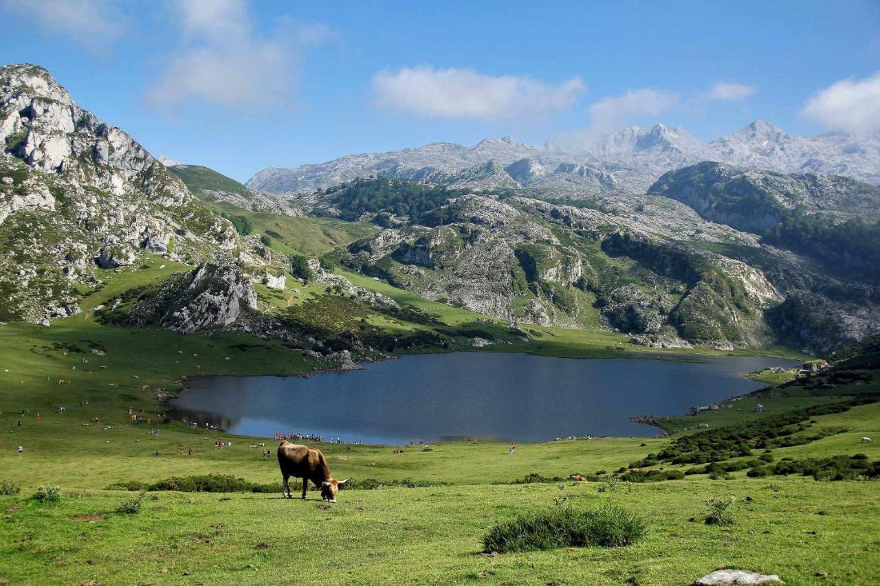 Apartament Casa Noval Zona Rural En El Centro De Asturias Bimenes Zewnętrze zdjęcie