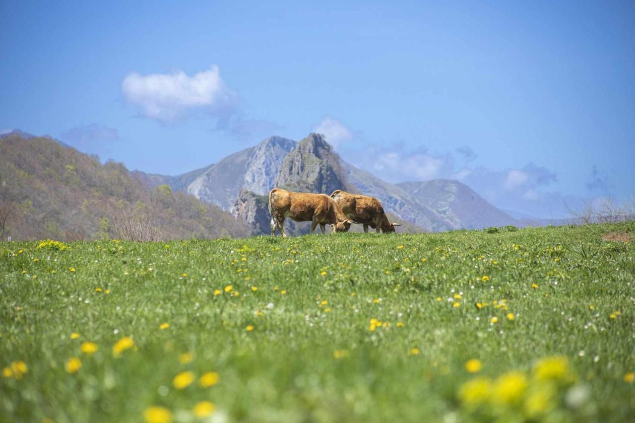 Apartament Casa Noval Zona Rural En El Centro De Asturias Bimenes Zewnętrze zdjęcie